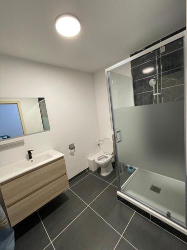 a bathroom with a shower and a sink and a toilet at Gîtes de la Croisette 2 in Dinant
