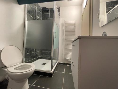 a bathroom with a shower and a toilet in it at Gîtes de la Croisette 3 in Dinant