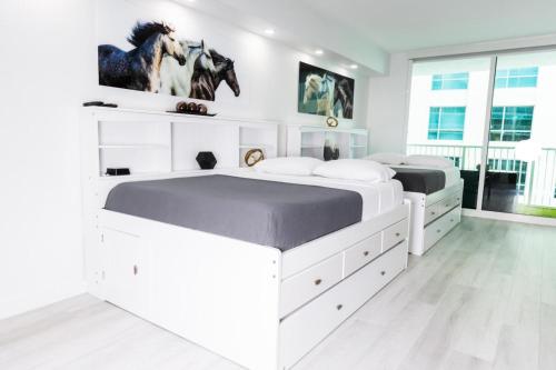 Modern and Luxurious Brickell Studio