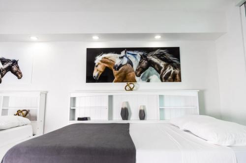 Modern and Luxurious Brickell Studio Image