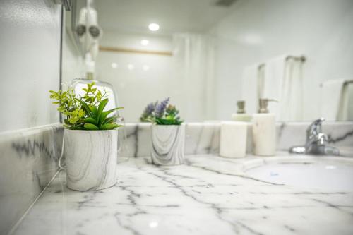 Modern and Luxurious Brickell Studio photo 28