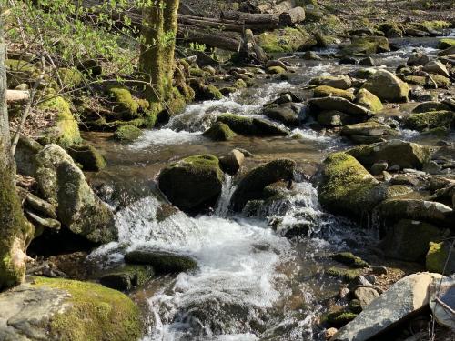 Phong cảnh thiên nhiên gần nhà nghỉ dưỡng