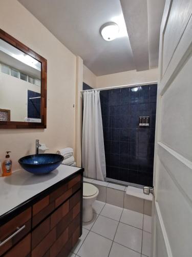 a bathroom with a sink and a toilet and a shower at BELIZE TROPICAL DREAM VILLAS in San Pedro
