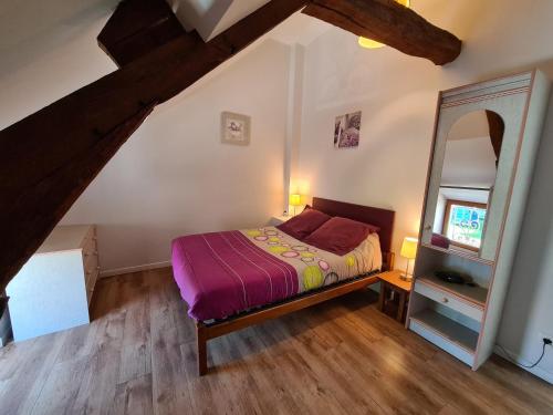 a bedroom with a bed and a mirror at Gîte 4 pers. avec terrasse privative entre Sologne et Châteaux de la Loire - FR-1-590-36 in Cléry-Saint-André