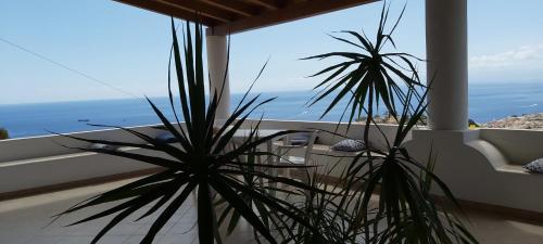 a plant in a room with a view of the ocean at Casa tra Cielo e Mare in Lipari