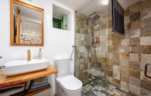 een badkamer met een toilet, een wastafel en een douche bij Ema in Buzet