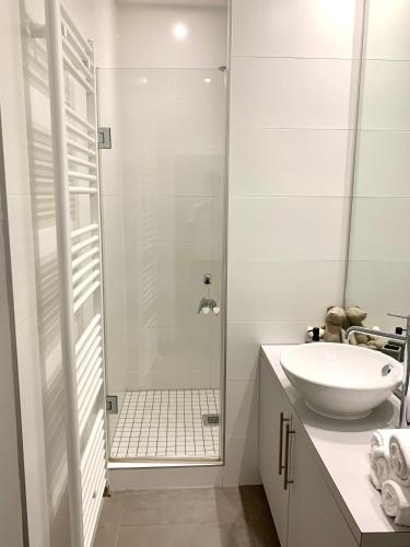 une salle de bain blanche avec un lavabo et une douche dans l'établissement Appartement Hyper-centre Colmar, à Colmar