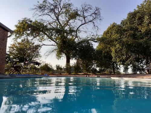 uma piscina de água azul com uma árvore ao fundo em La Villereautine em Villereau