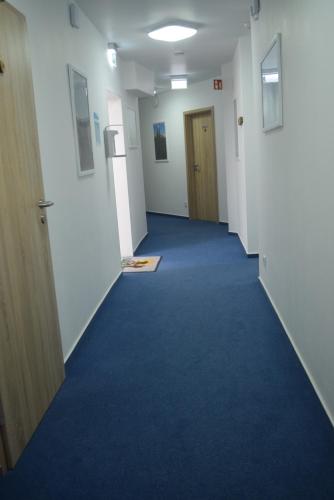 a hallway of an office with blue carpet at HOTEL BIKE & HIKE in Obersuhl