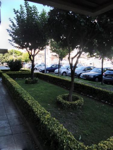 duas árvores na relva ao lado de um parque de estacionamento em Covelo no Porto