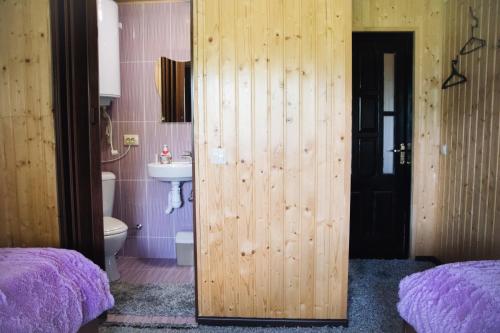 a bathroom with a wooden door and a sink at Стежка в гори in Verkhovyna
