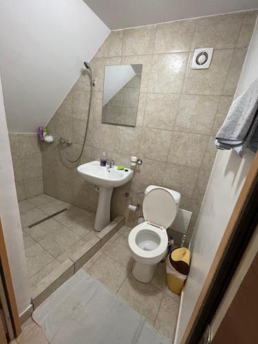 a bathroom with a shower and a toilet and a sink at Casa Wiesmann Băile Felix in Baile Felix