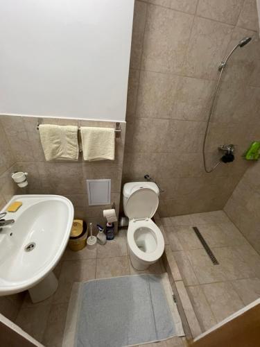 a bathroom with a sink and a toilet and a shower at Casa Wiesmann Băile Felix in Baile Felix