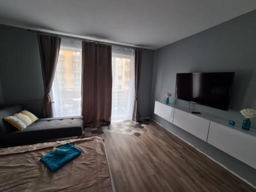 een woonkamer met een bank en een flatscreen-tv bij Garsoniera Zebra in Braşov