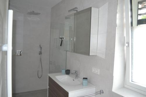 a white bathroom with a shower and a sink at Apartment Uggowitzer in Drobollach am Faakersee