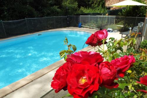 a group of red roses next to a swimming pool at Camping Belle Vue in Boisseuilh