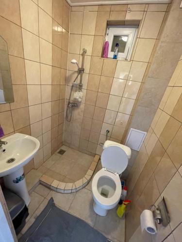a bathroom with a toilet and a sink at Casa Wiesmann Băile Felix in Baile Felix