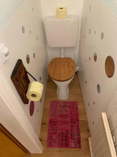 a bathroom with a toilet and a red rug at PinkDeer in Hallstatt