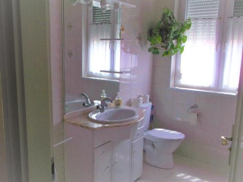 a bathroom with a sink and a toilet at Big Apartman in Hajdúszoboszló