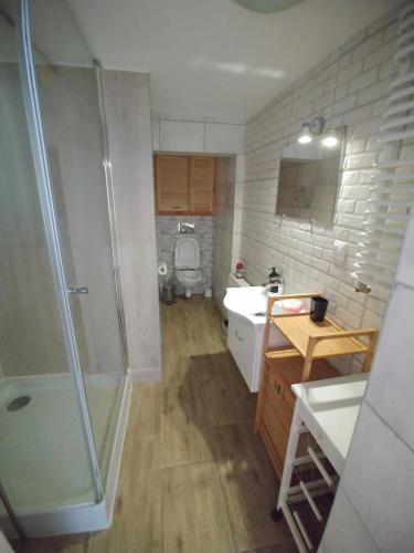 łazienka z prysznicem, umywalką i toaletą w obiekcie Apartament w Karkonoszach w mieście Podgórzyn