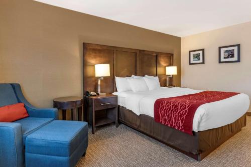 um quarto de hotel com uma cama e uma cadeira azul em Comfort Inn Williamsport em Williamsport