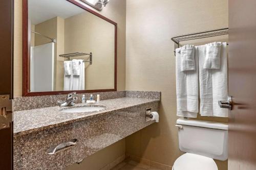 O baie la Comfort Inn Williamsport