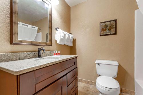 a bathroom with a toilet and a sink with a mirror at Econo Lodge Black Hills in Rapid City
