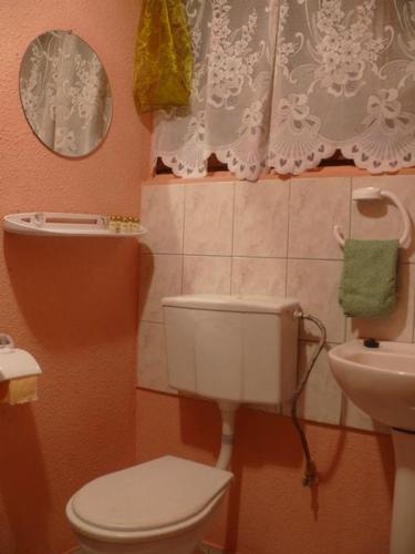 a small bathroom with a toilet and a sink at OWiR Rejów in Skarżysko-Kamienna