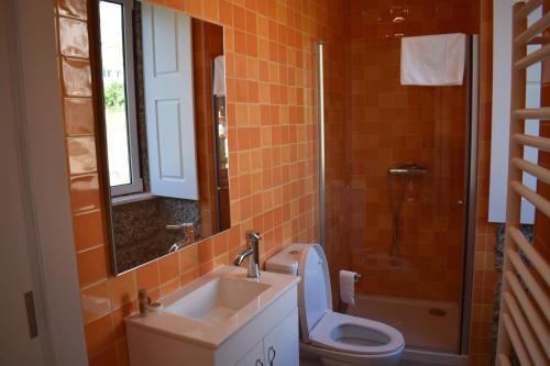 La salle de bains est pourvue d'un lavabo, de toilettes et d'un miroir. dans l'établissement Casa da Fândega, à Loriga