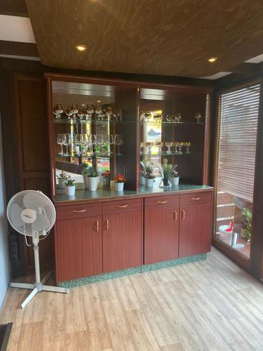 a room with a display cabinet with plants in it at Ferienwohnung mit Terrasse in Aue