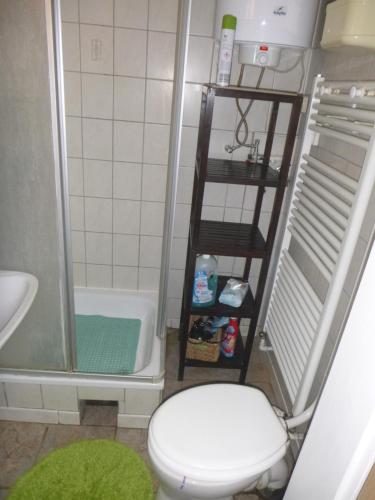 a small bathroom with a toilet and a shower at Ferienhaus Görsdorf Berlin in Berlin