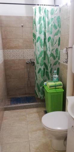 a bathroom with a shower with a toilet and a green shower curtain at Teo Apartment in Trebinje
