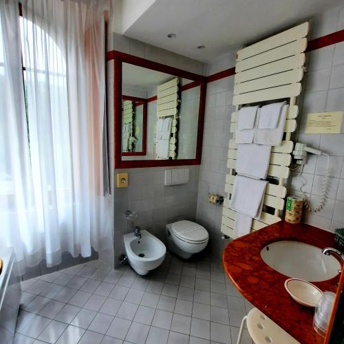 a bathroom with a toilet and a sink at Hotel Bellavista in Abetone
