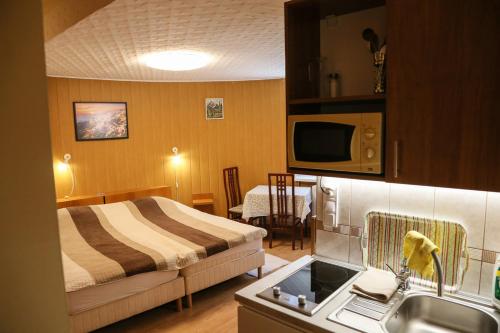 シャールヴァールにあるMolnár Apartmentのベッドとシンク付きのホテルルーム