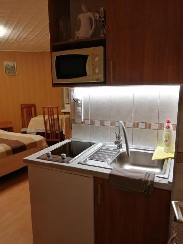 una cucina con lavello e microonde di Molnár Apartment a Sárvár