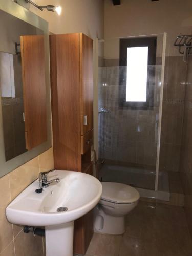 ein Bad mit einem Waschbecken, einem WC und einer Dusche in der Unterkunft Apartamentos El Puente in Camaleño