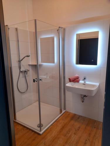 uma casa de banho com um chuveiro e um lavatório. em Gästehaus Leonie em Ebrach
