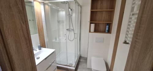 ein Bad mit einer Dusche, einem WC und einem Waschbecken in der Unterkunft Apartamenty EverySky - Źródlana 2 in Świeradów-Zdrój