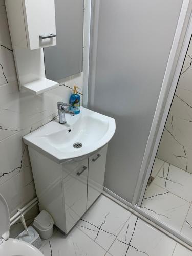 a white bathroom with a sink and a shower at Centar Bruno in Novi Pazar
