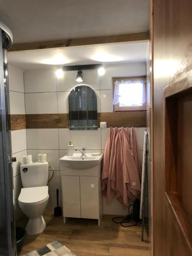 a bathroom with a toilet and a sink and a mirror at Chatka pod orzechem in Spytkowice