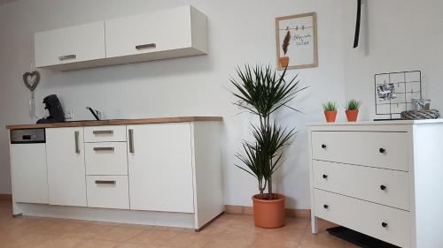 a kitchen with white cabinets and a potted plant at Tauberperle in Weikersheim