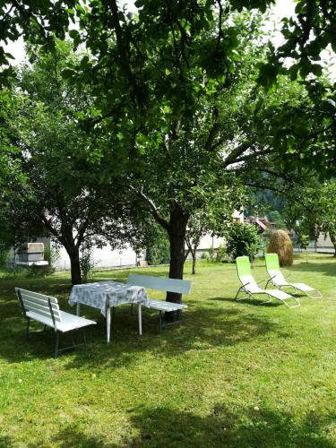 a table and chairs in the grass under a tree at Dům u splavu in Karolinka