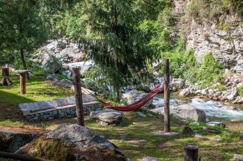 a hammock in a park next to a river at Tirthan Anglers' Retreat in Banjār