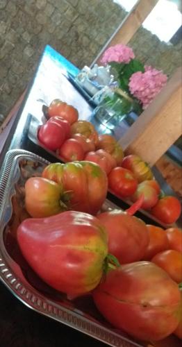 a tray of tomatoes sitting on a table at Holiday Ozon in Sztutowo