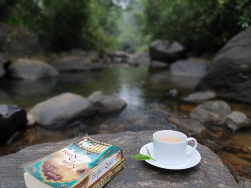 Příroda nedaleko luxury tent