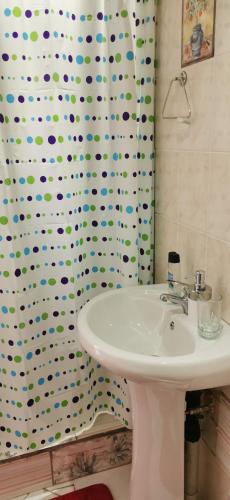 a bathroom with a sink and a shower curtain at Lytton Cresent B&B in Pinetown