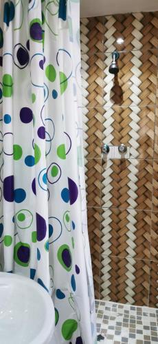 a bathroom with a shower curtain and a sink at Lytton Cresent B&B in Pinetown