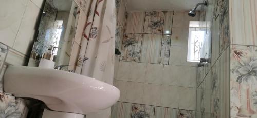 a bathroom with a sink and a shower at Lytton Cresent B&B in Pinetown