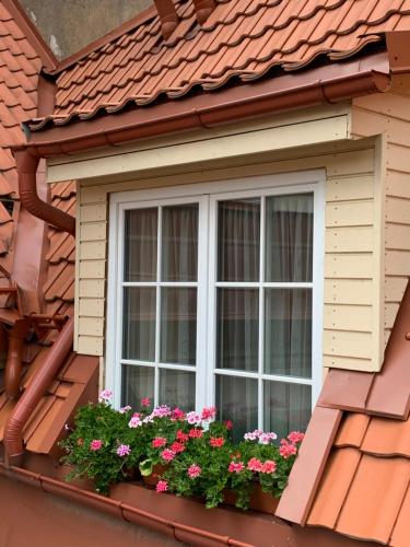 a window on a house with flowers in a window box at Very Vilnius Pilies street in Vilnius