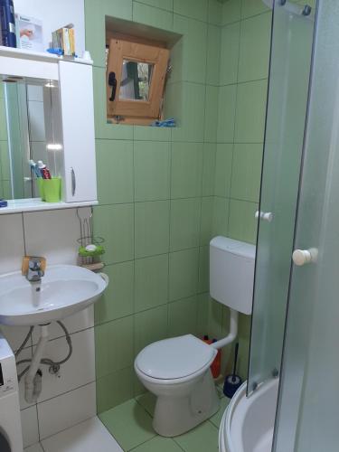 y baño con aseo y lavamanos. en Tanjuška en Žabljak
